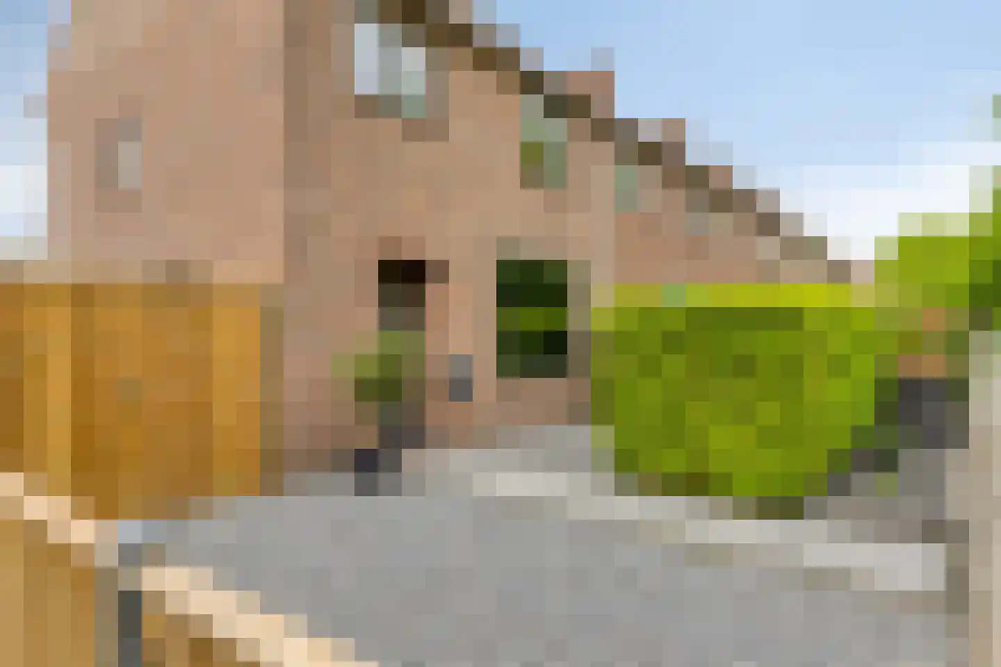 Sportlaan 67 Emmeloord thumbnail 4