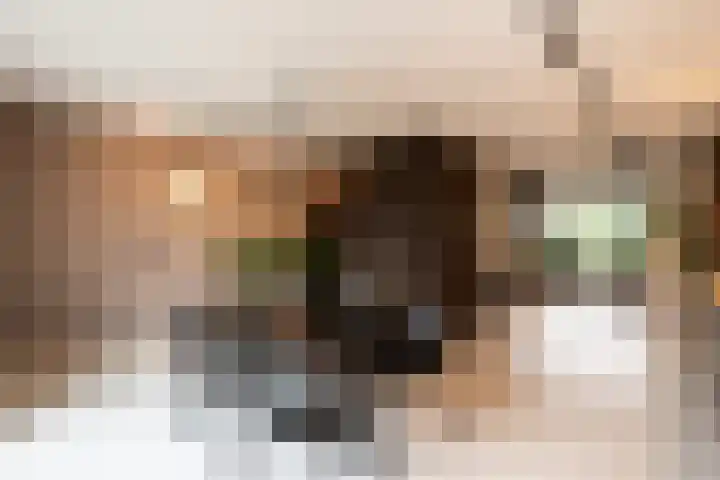 Sportlaan 67 Oss thumbnail 13