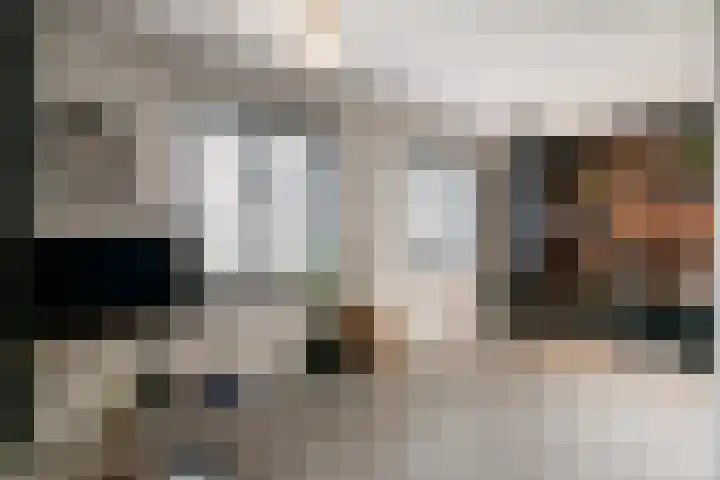 Sportlaan 67 Oss thumbnail 15
