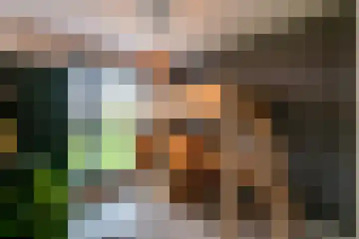 Sportlaan 67 Oss thumbnail 17