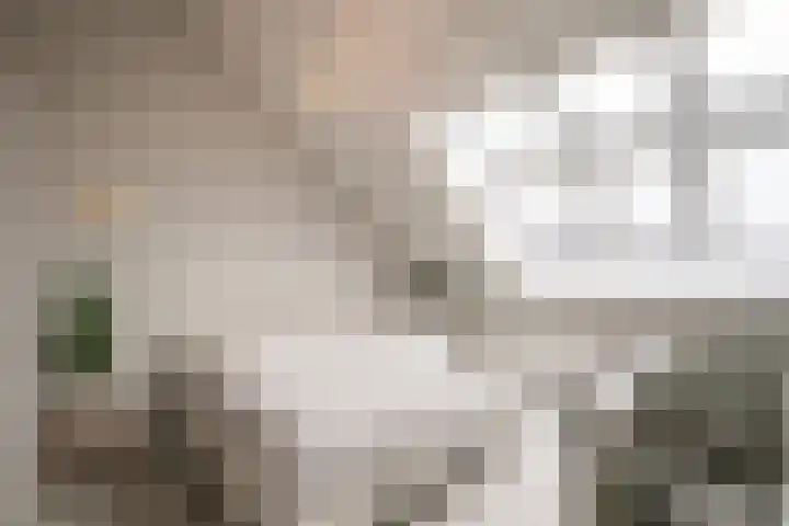 Sportlaan 67 Oss thumbnail 20