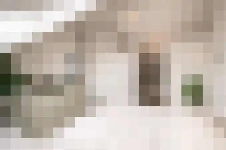 Sportlaan 67 Oss thumbnail 22