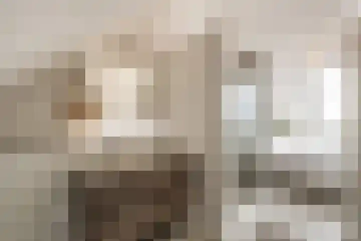 Sportlaan 67 Oss thumbnail 23