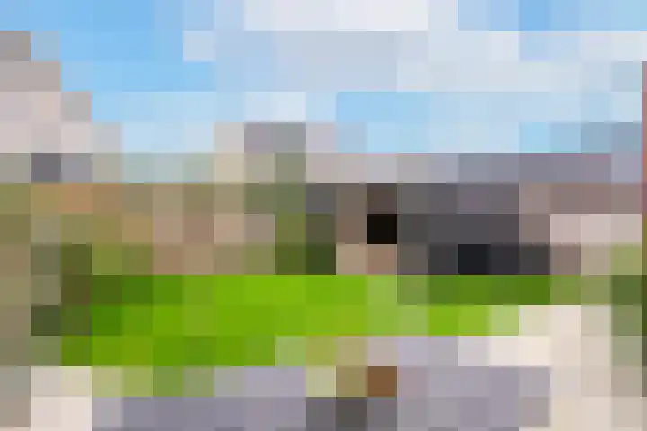 Sportlaan 67 Oss thumbnail 28