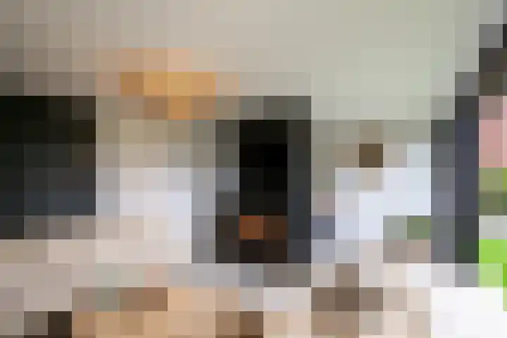 Sportlaan 67 Oss thumbnail 29