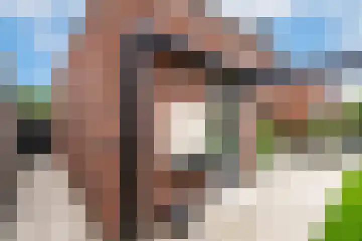 Sportlaan 67 Oss thumbnail 30