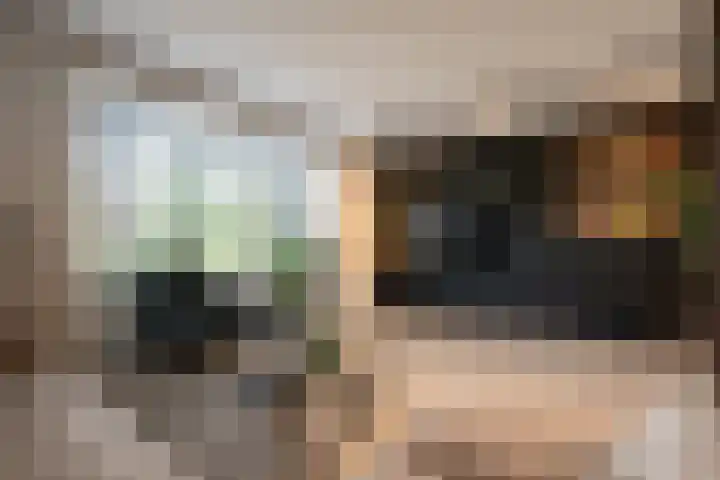 Sportlaan 67 Oss thumbnail 7
