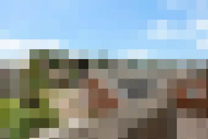 Sportlaan 69 Nieuw-Buinen thumbnail 15