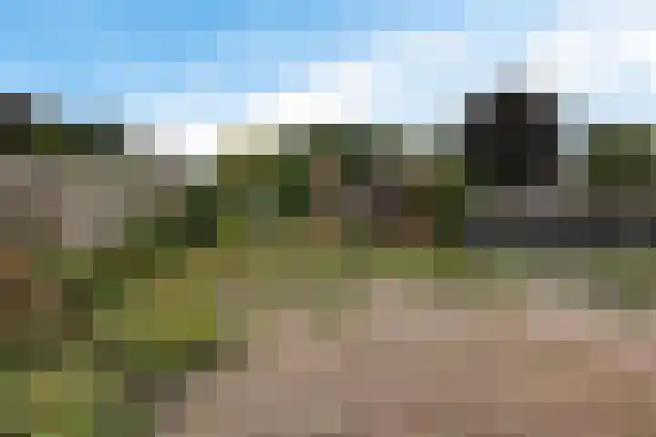 Sportlaan 69 Nieuw-Buinen thumbnail 18