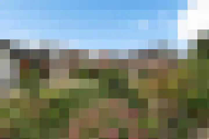 Sportlaan 69 Nieuw-Buinen thumbnail 19