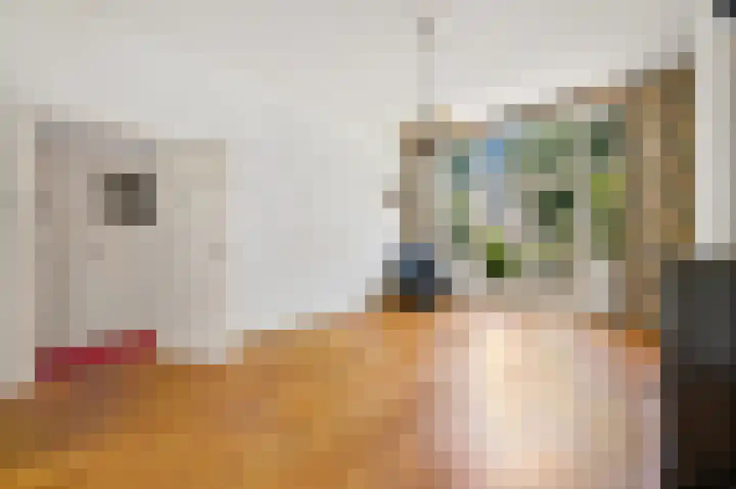 Sportlaan 7 Den Haag thumbnail 12