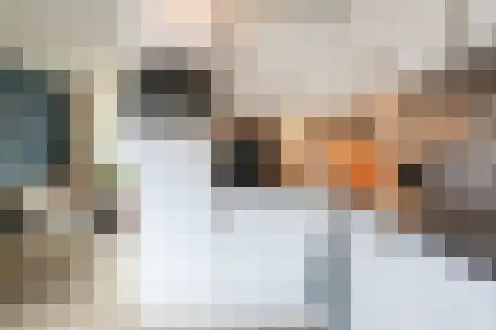 Sportlaan 7 Leeuwarden thumbnail 16