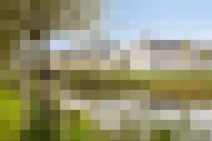Sportlaan 7 Oss thumbnail 26