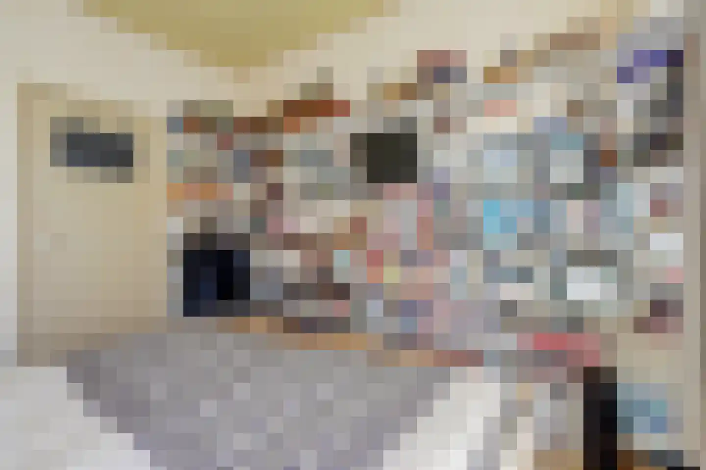 Sportlaan 7 Spijkenisse thumbnail 11