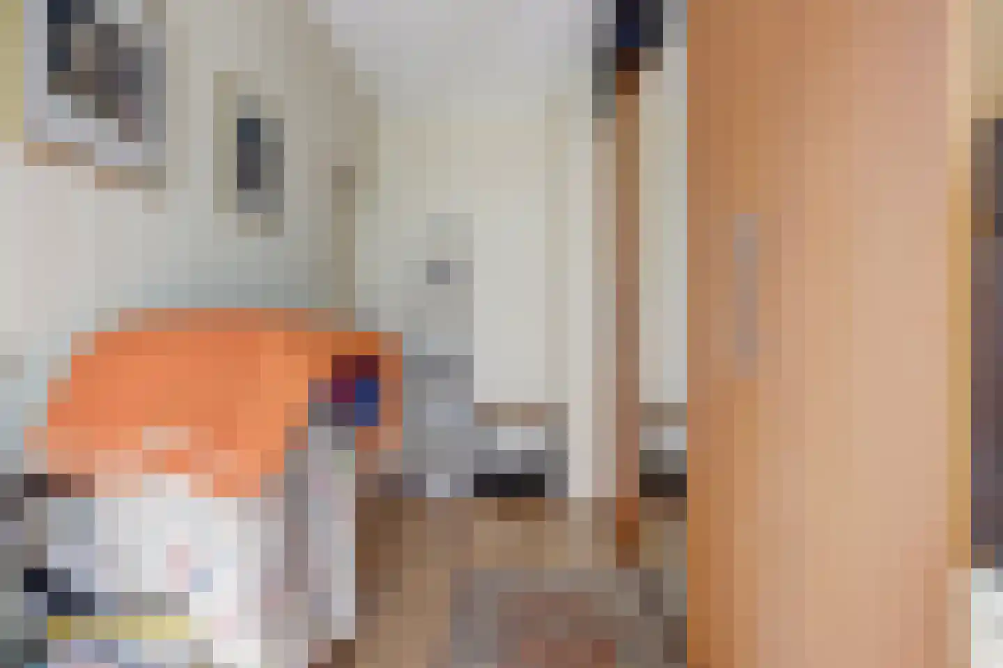 Sportlaan 7 Spijkenisse thumbnail 13