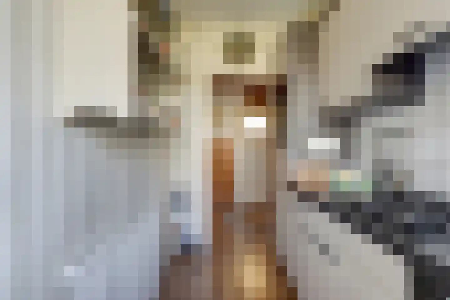 Sportlaan 7 Spijkenisse thumbnail 6