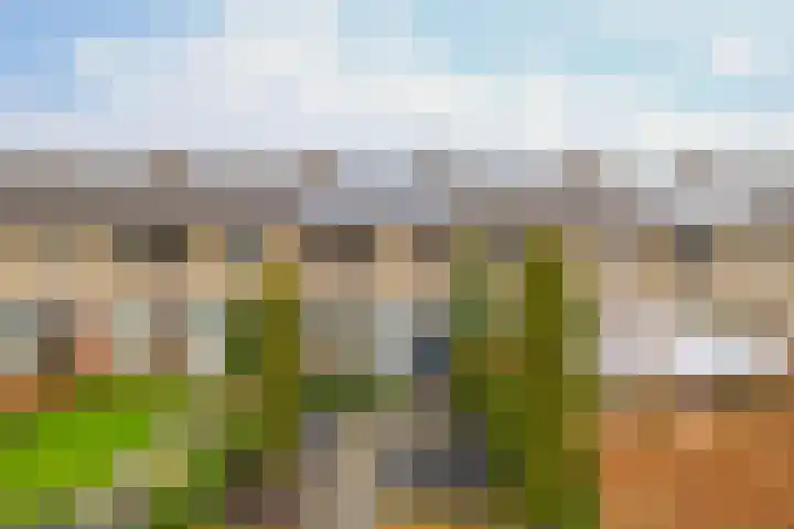 Sportlaan 70 Ermelo thumbnail 5
