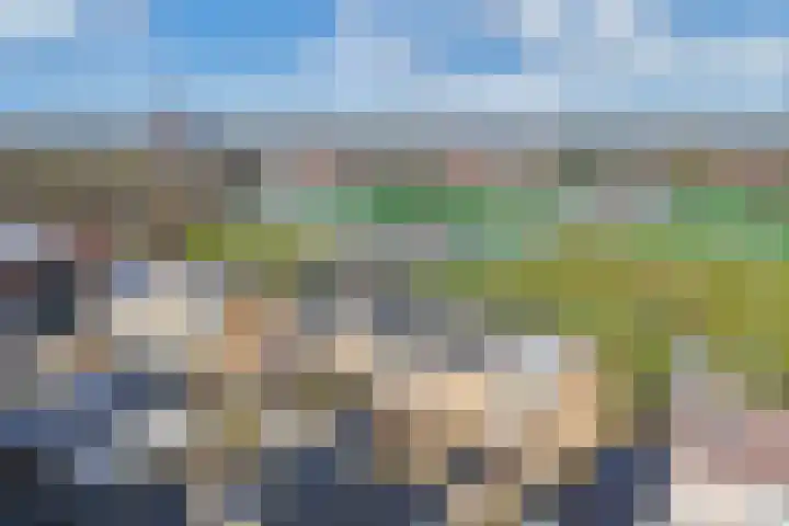 Sportlaan 70 Zuid-Scharwoude thumbnail 35