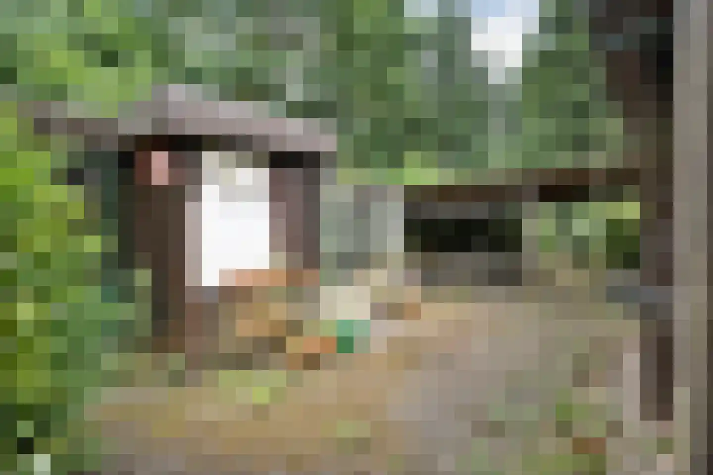 Sportlaan 73 Bergentheim thumbnail 11