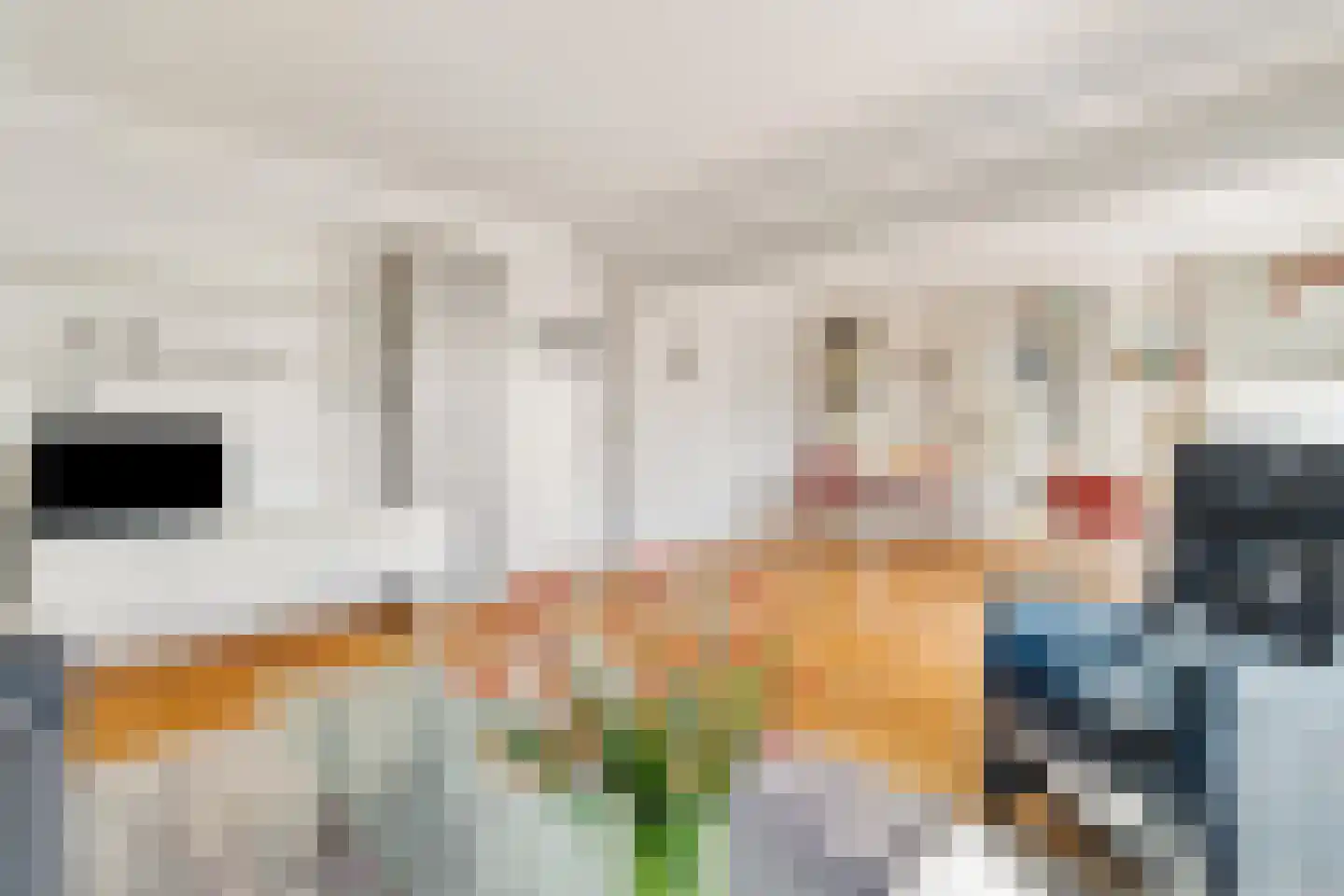Sportlaan 770 Den Haag thumbnail 6