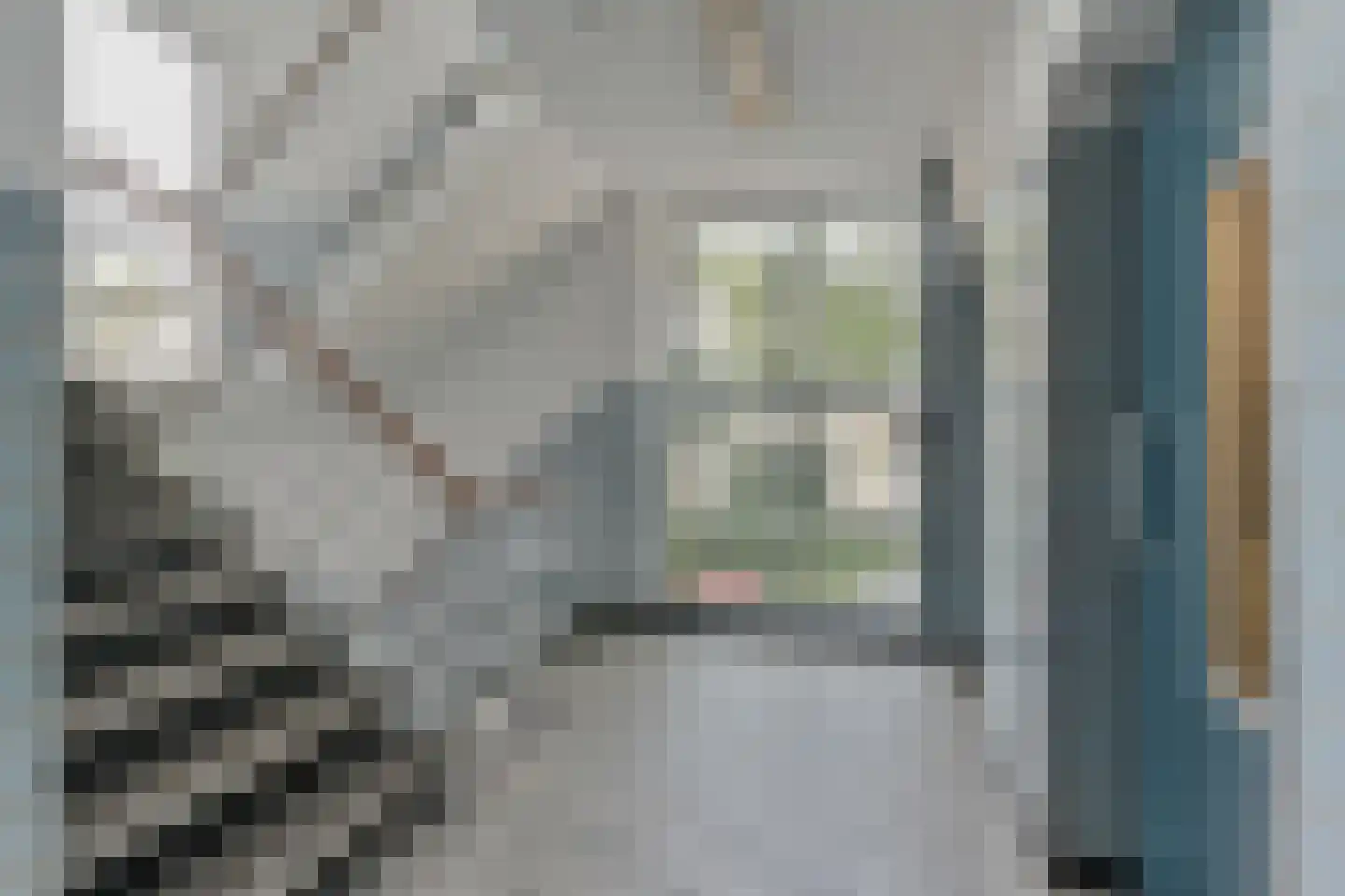 Sportlaan 78 Den Haag thumbnail 7