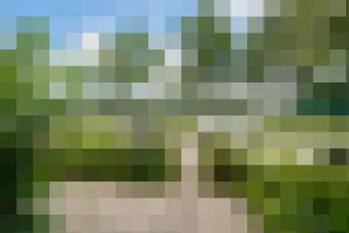 Sportlaan 78 Zuid-Scharwoude thumbnail 5