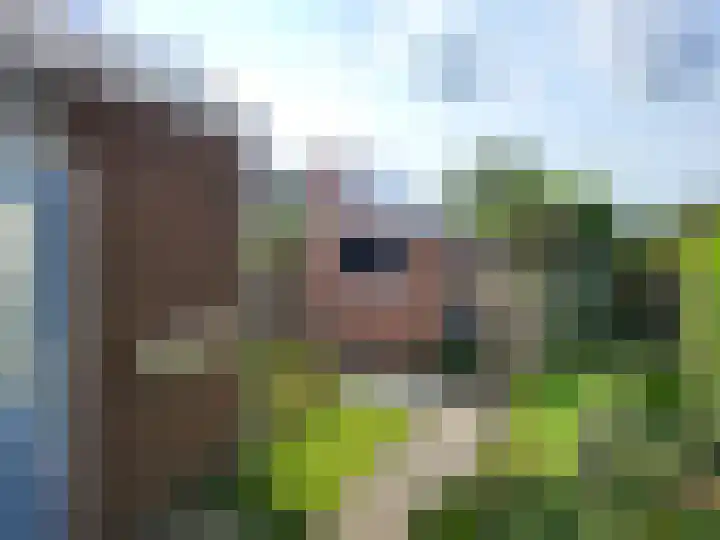 Sportlaan 8 Andijk thumbnail 19