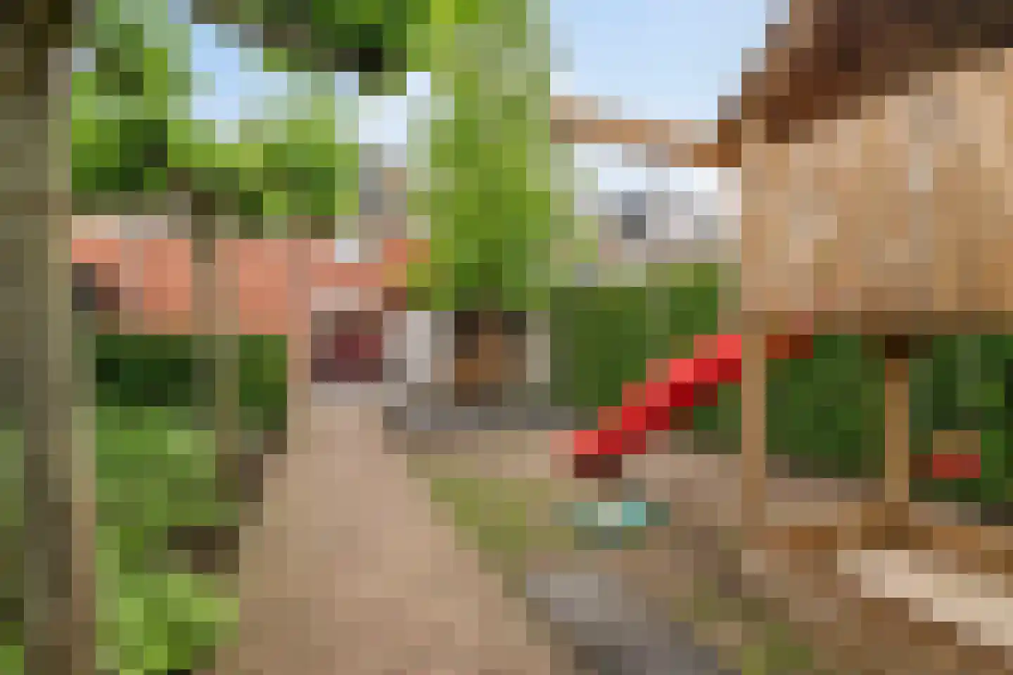 Sportlaan 8 IJsselmuiden thumbnail 41