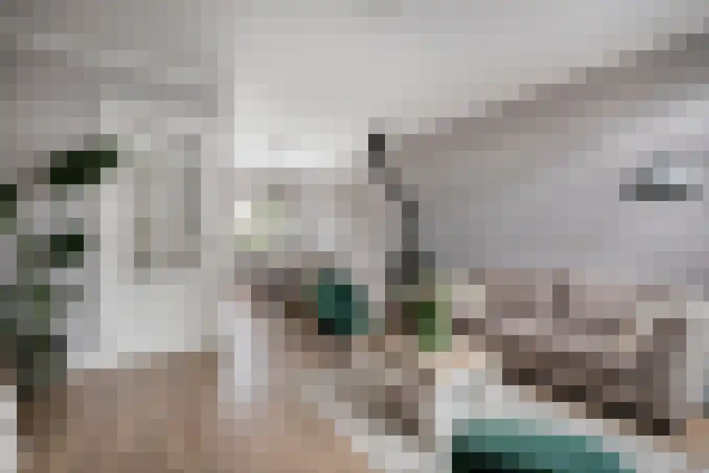 Sportlaan 8 IJsselmuiden thumbnail 8