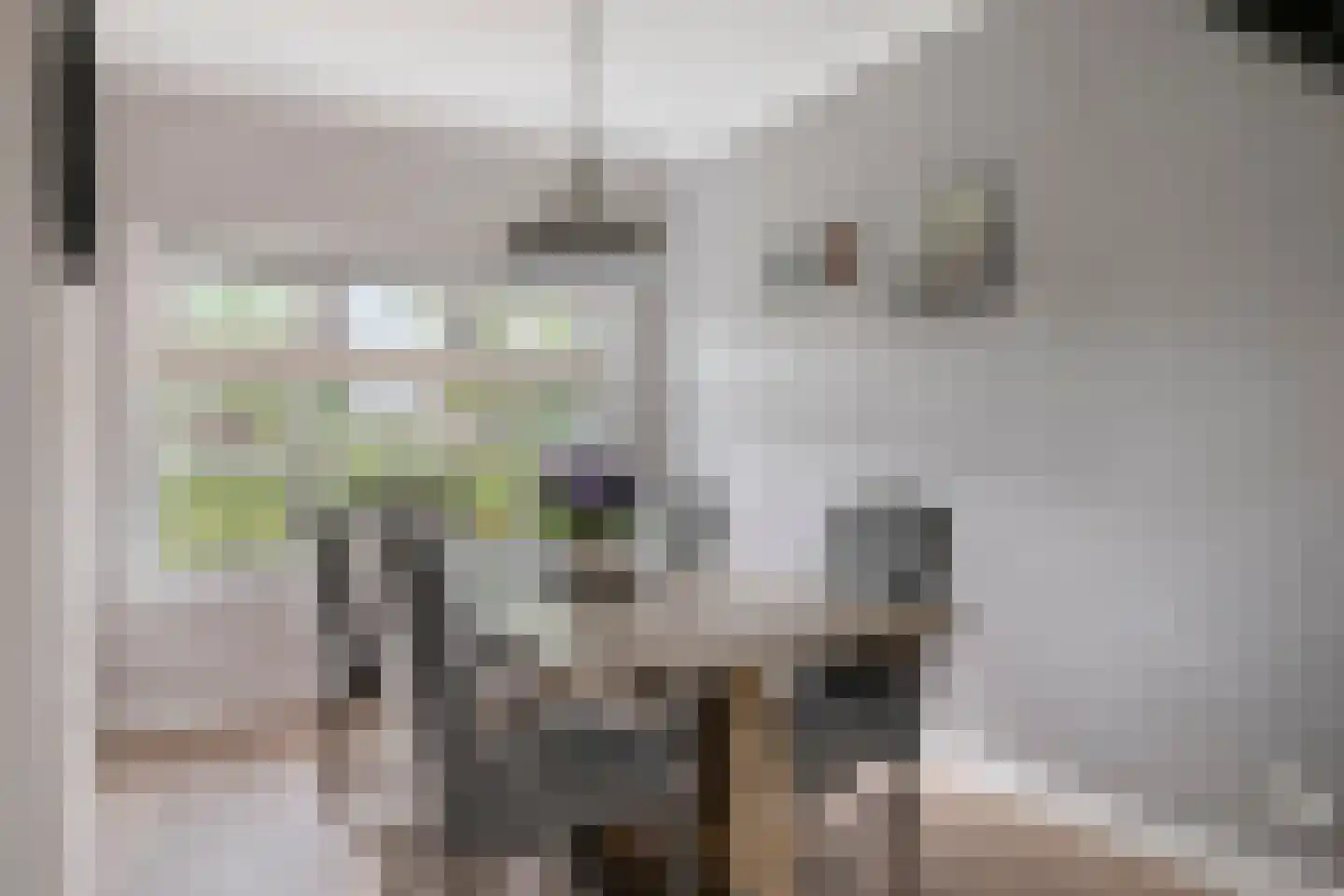 Sportlaan 8 IJsselmuiden thumbnail 9