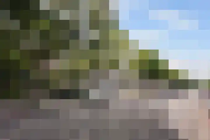 Sportlaan 816 Den Haag thumbnail 38