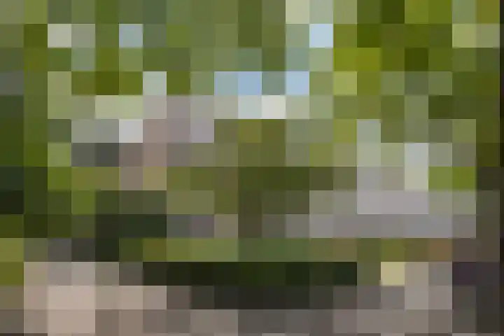Sportlaan 816 Den Haag thumbnail 39
