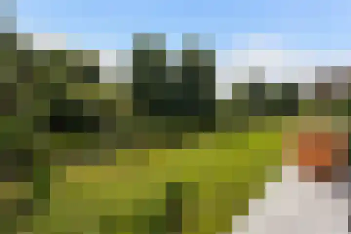 Sportlaan 816 Den Haag thumbnail 4