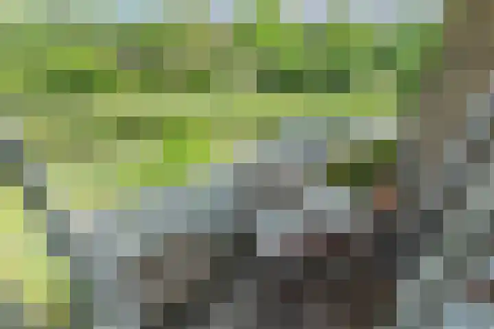 Sportlaan 84 Den Haag thumbnail 13