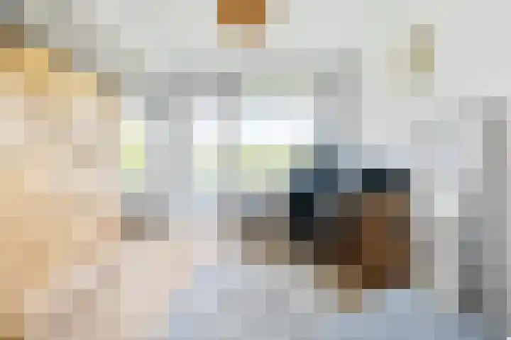 Sportlaan 84 Den Haag thumbnail 22