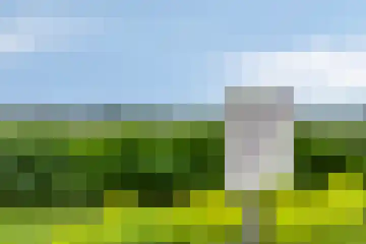 Sportlaan 86 Almkerk thumbnail 31