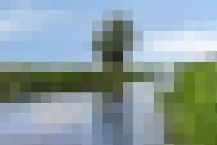 Sportlaan 86 Almkerk thumbnail 32