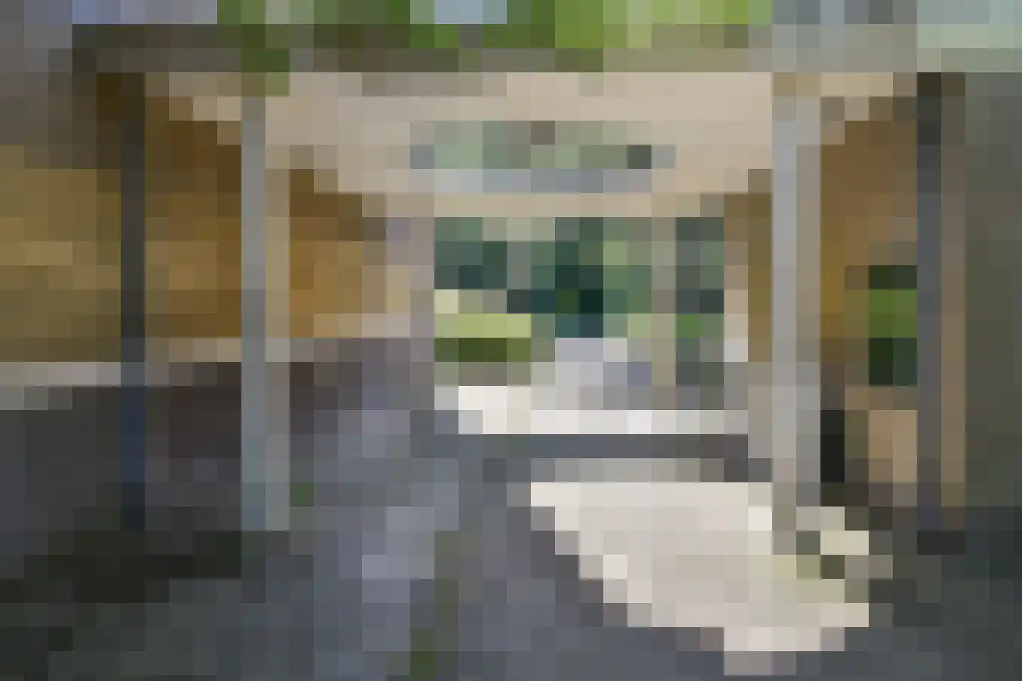 Sportlaan 878 Den Haag thumbnail 33