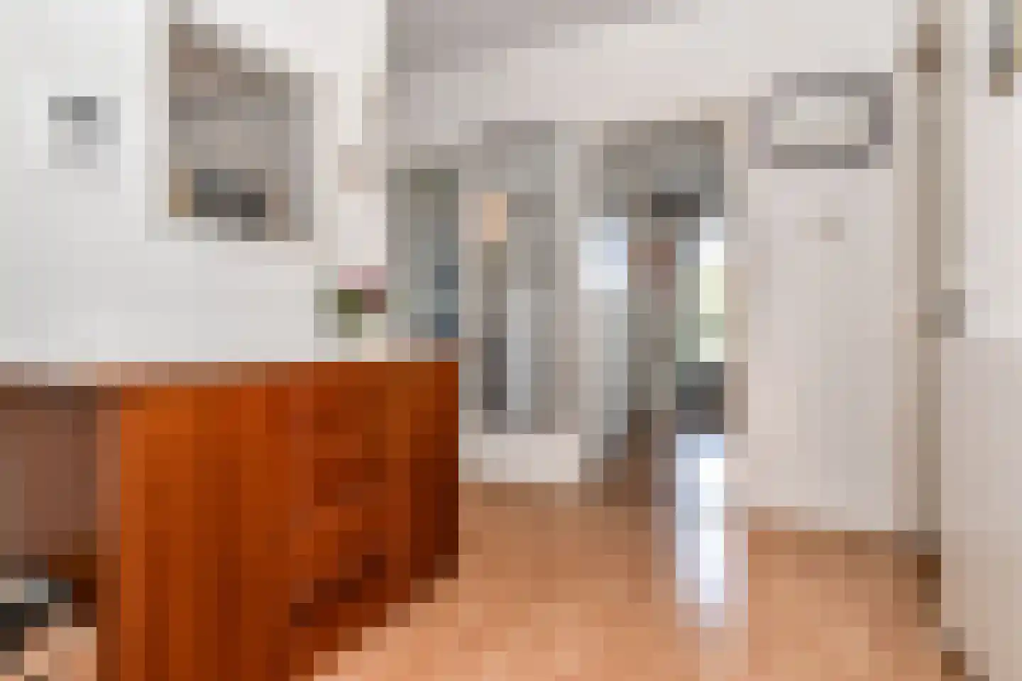Sportlaan 878 Den Haag thumbnail 6