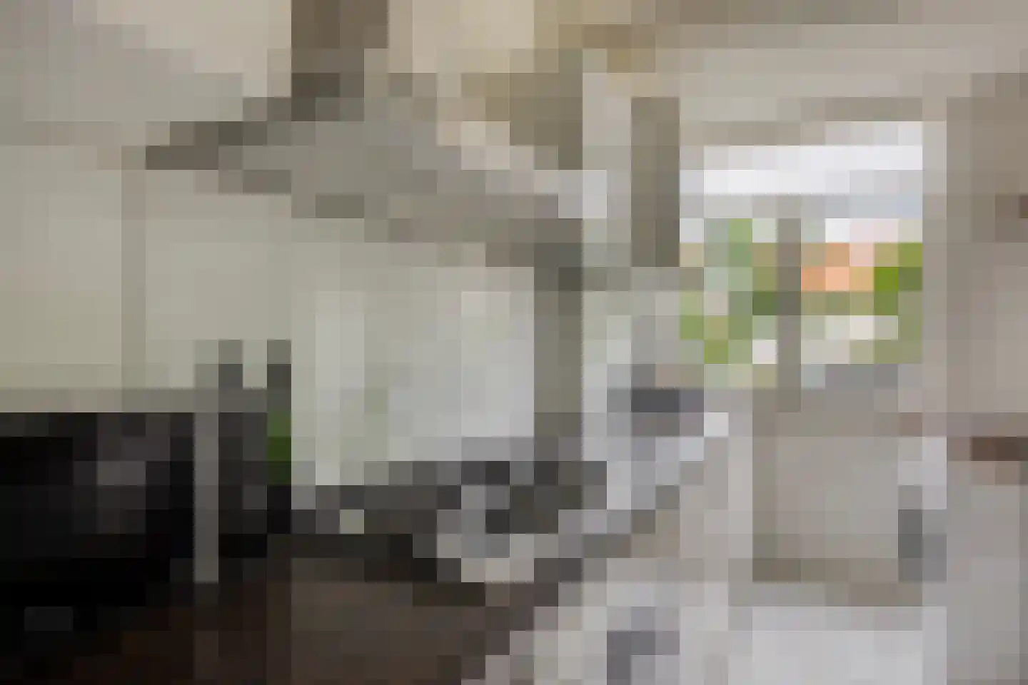 Sportlaan 884 Den Haag thumbnail 12