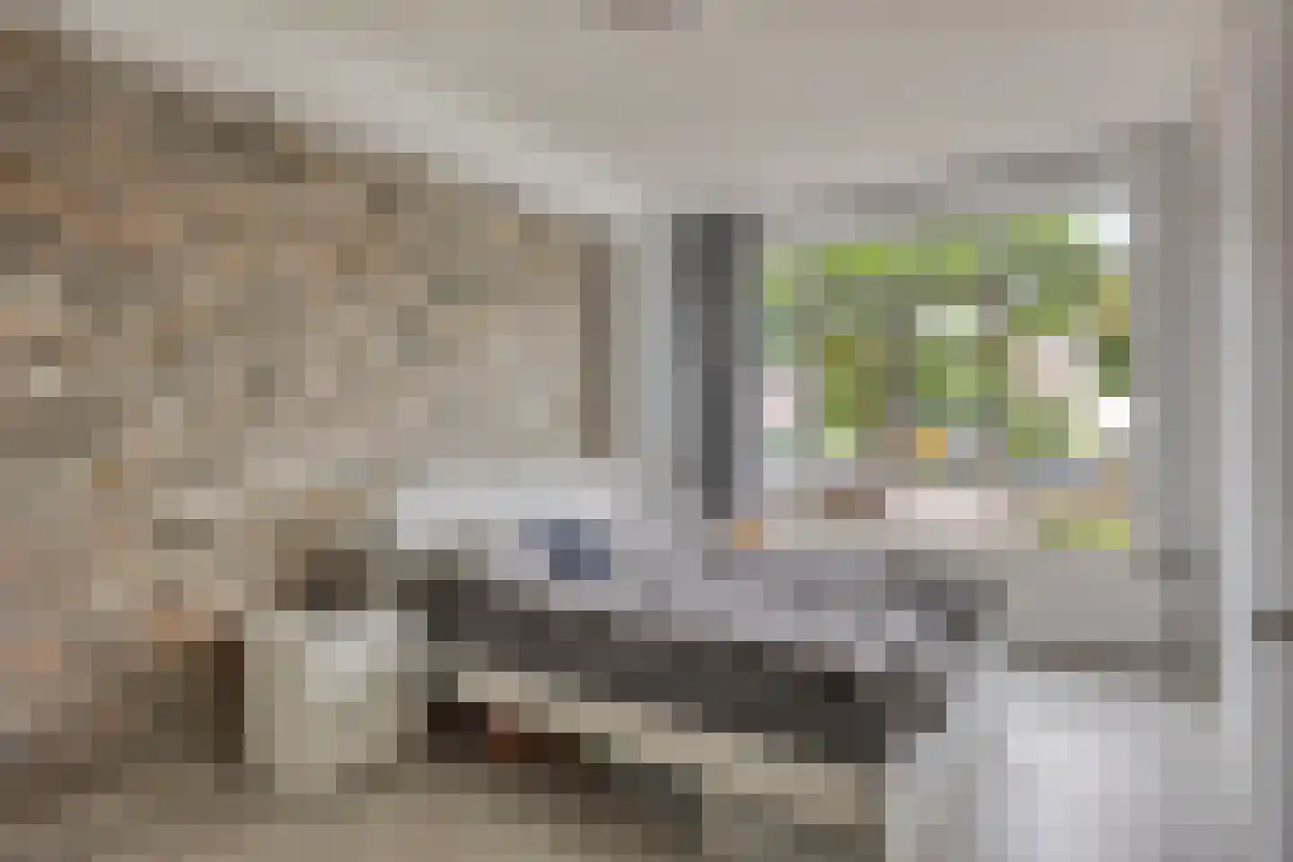 Sportlaan 884 Den Haag thumbnail 15