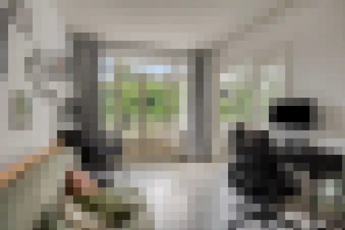 Sportlaan 884 Den Haag thumbnail 22