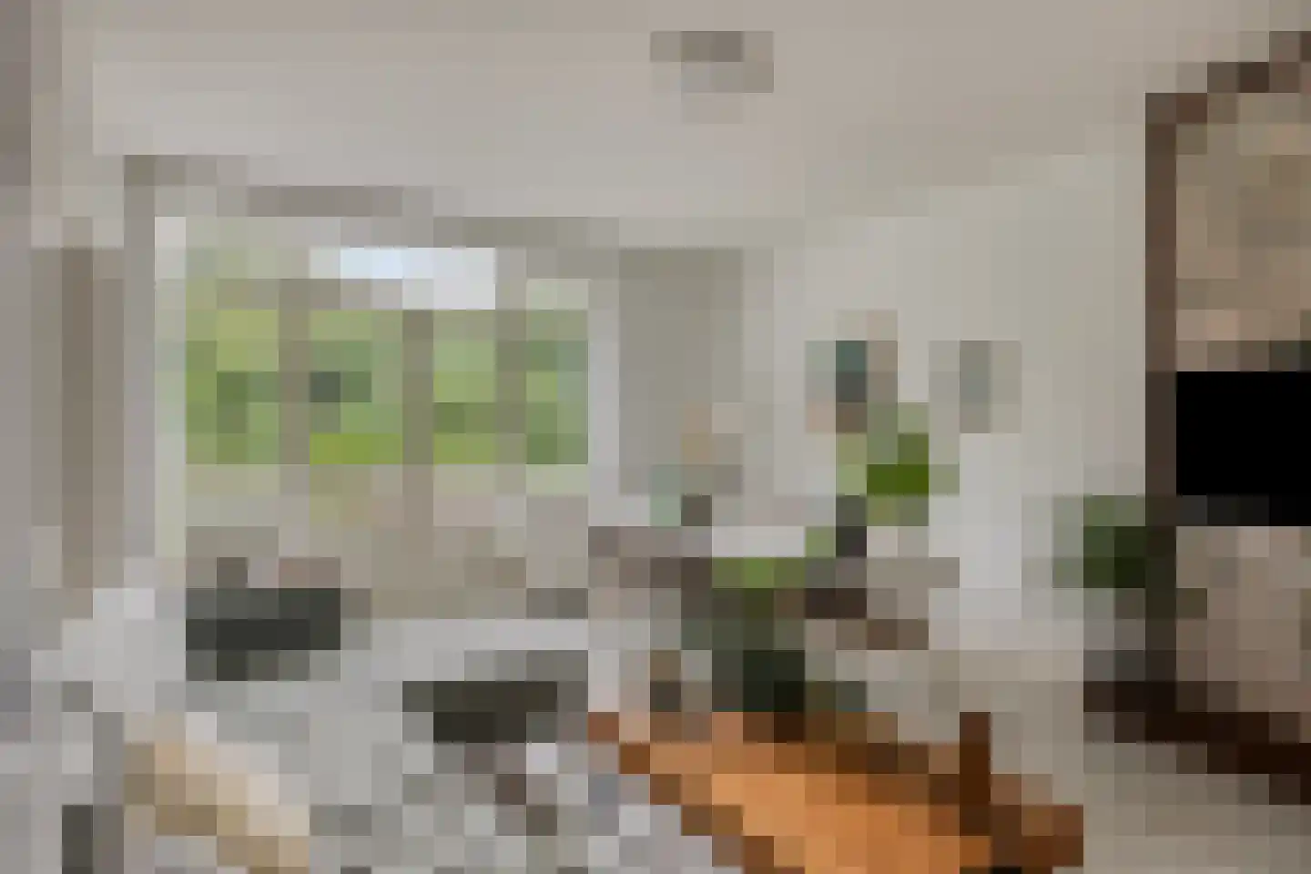 Sportlaan 884 Den Haag thumbnail 6