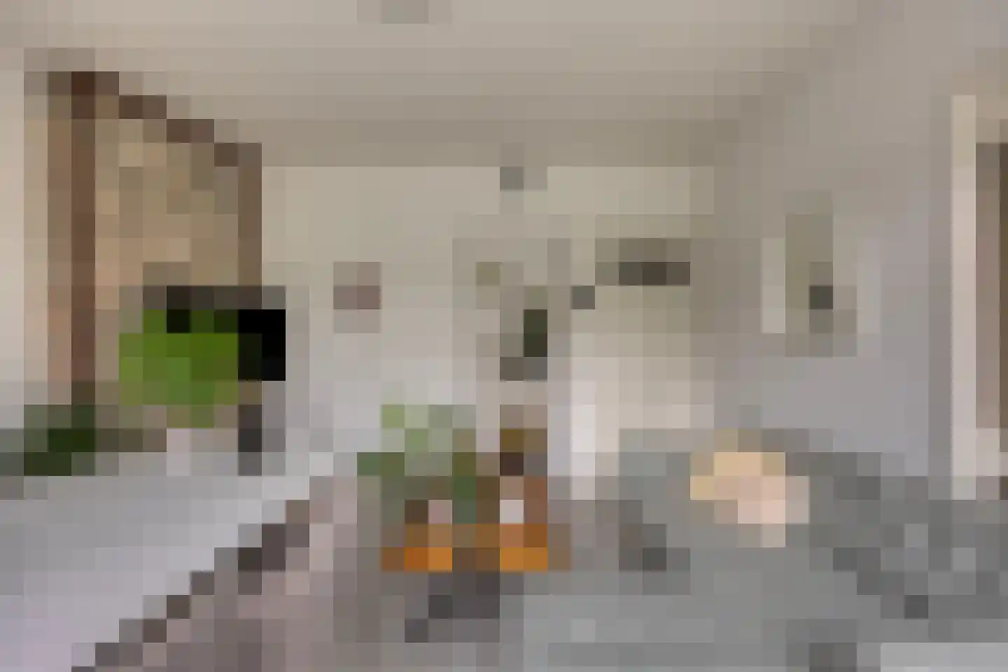 Sportlaan 884 Den Haag thumbnail 7