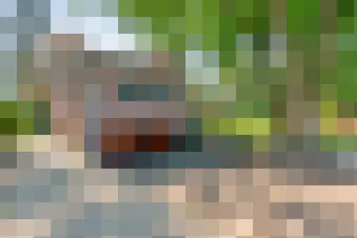 Sportlaan 9 Bergentheim thumbnail 12
