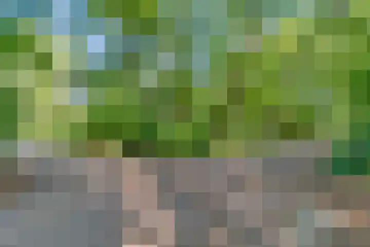 Sportlaan 9 Bergentheim thumbnail 4