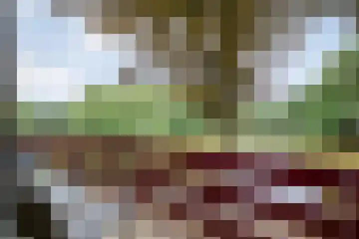 Sportlaan 9 Bergentheim thumbnail 49