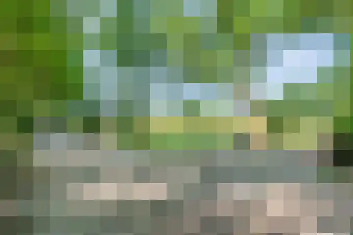 Sportlaan 9 Bergentheim thumbnail 5