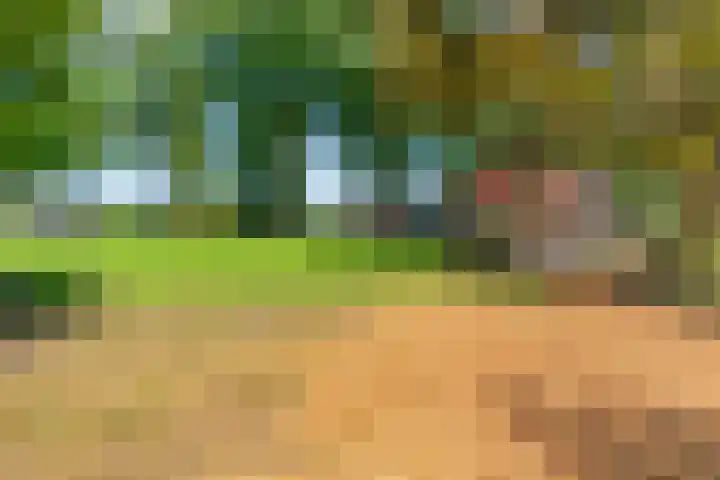 Sportlaan 9 Bergentheim thumbnail 57