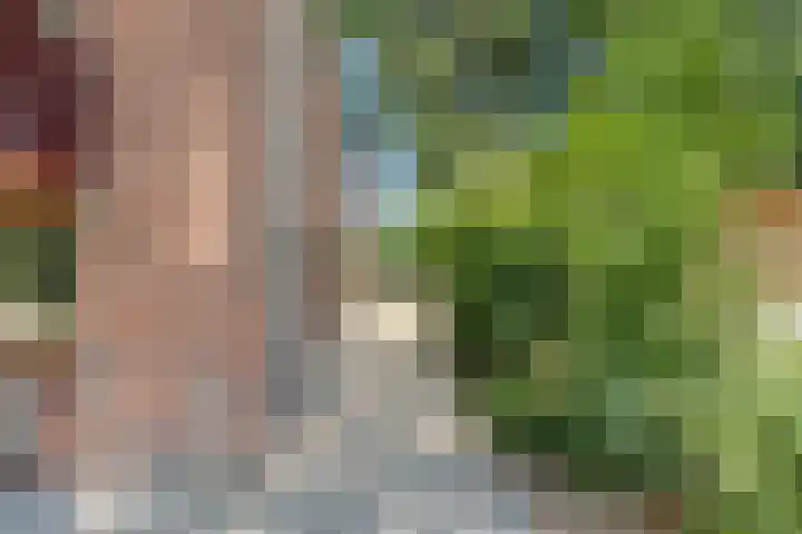 Sportlaan 9 Bergentheim thumbnail 58